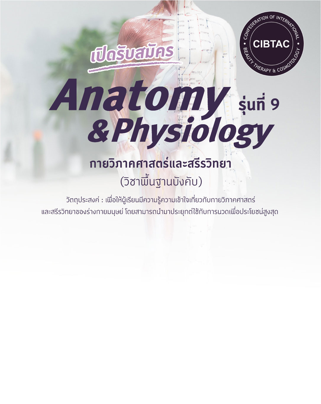 herobanner mobile - Anatomy, Physiology, กายวิภาคศาสตร์, สรีรวิทยา, กายวิภาคศาสตร์และสรีรวิทยา, ร้านสปา, ร้านนวด, Therapist, ครูสอนโยคะ, โยคะ, เทรนเนอร์ออกกำลังกาย, เทรนเนอร์, วิทยากร, สุขภาพและความงาม, สุขภาพ, ความงาม, สุขภาพ, Body, Massage, Body Massage, ร้านสปา, ร้านนวด, Therapist
