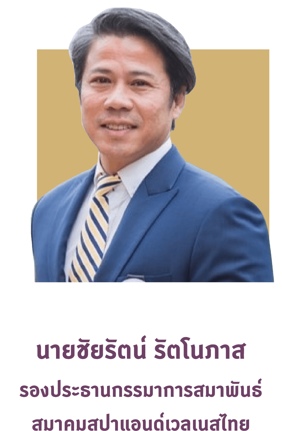lecturer img - นายชัยรัตน์ รัตโนภาส รองประธานกรรมาการสมาพันธ์ สมาคมสปาแอนด์เวลเนสไทย